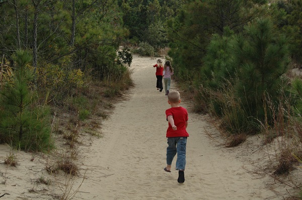 Jockey's Ridge