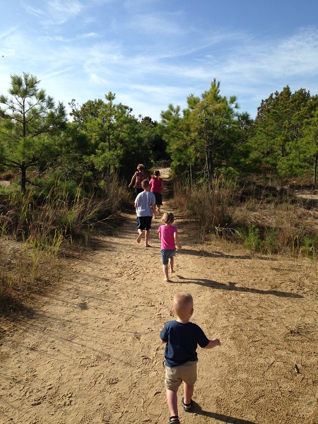 Jockey's Ridge